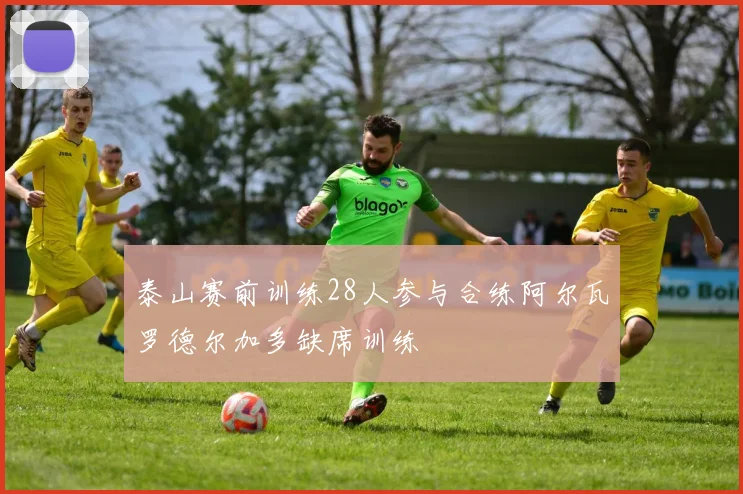 泰山赛前训练28人参与合练阿尔瓦罗德尔加多缺席训练