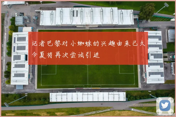 记者巴黎对小蜘蛛的兴趣由来已久今夏将再次尝试引进