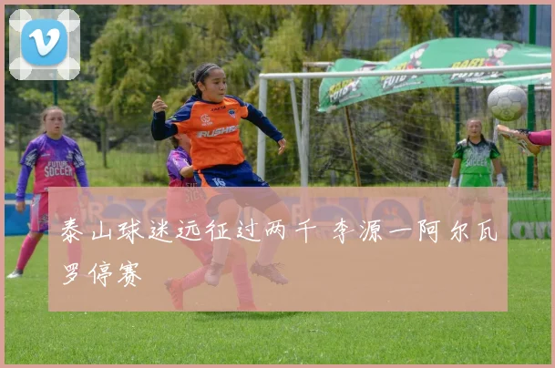 泰山球迷远征过两千 李源一阿尔瓦罗停赛