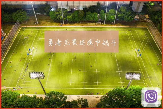勇者无畏逆境中战斗