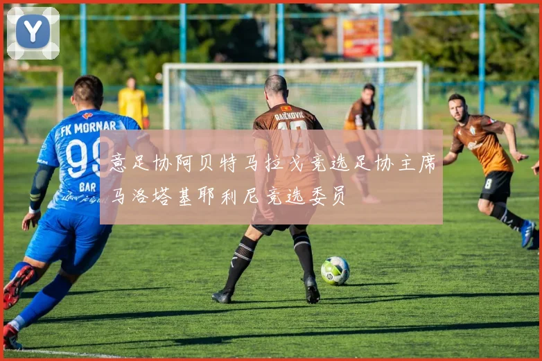 意足协阿贝特马拉戈竞选足协主席马洛塔基耶利尼竞选委员